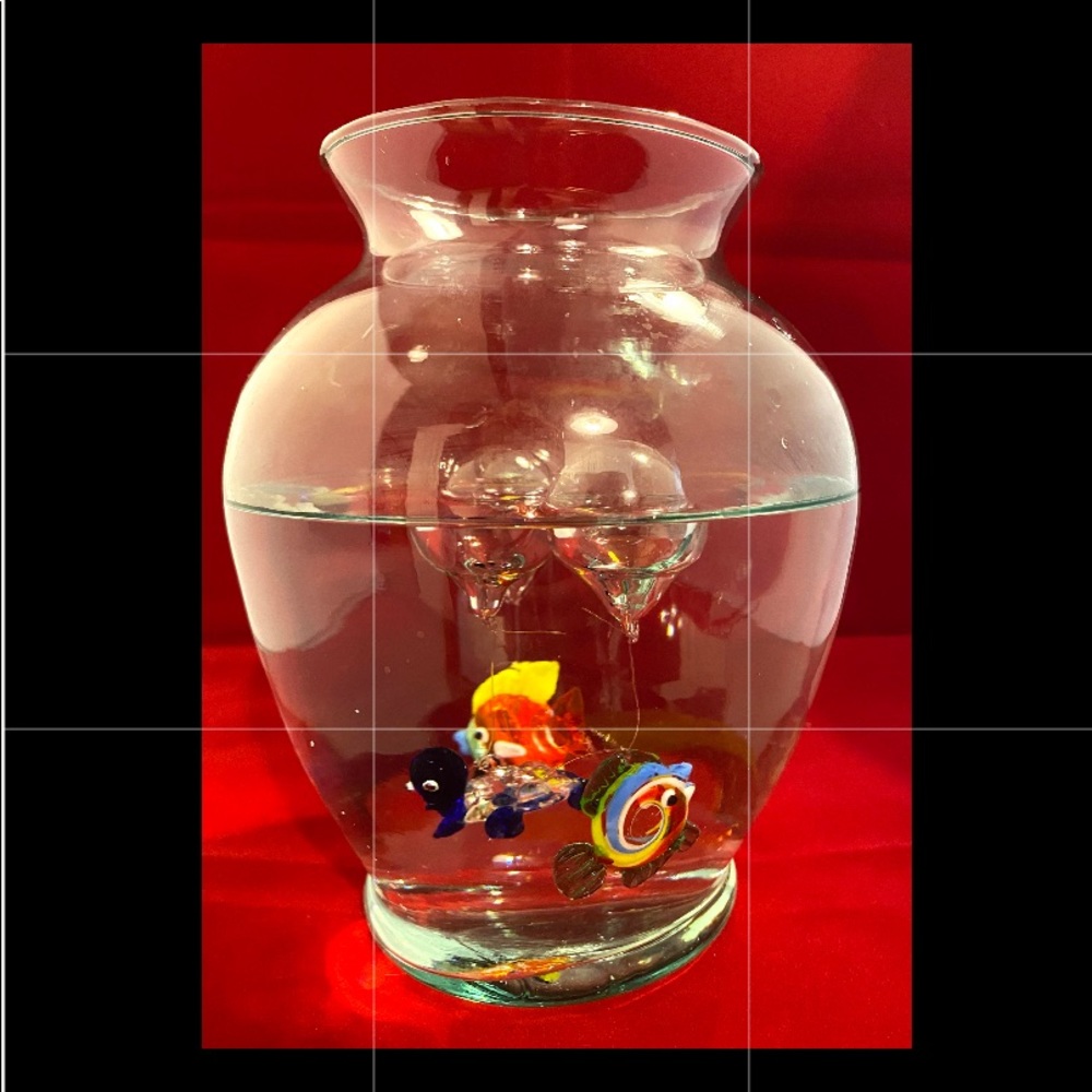 Floating Fishes and Turtle